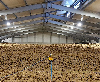 Овощехранилище картофельное